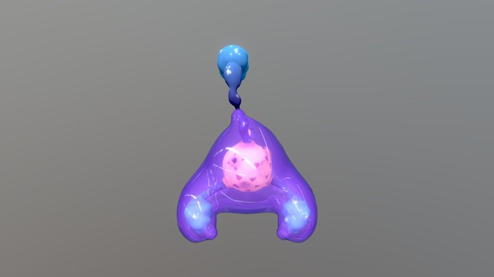 Examinee 3D Model