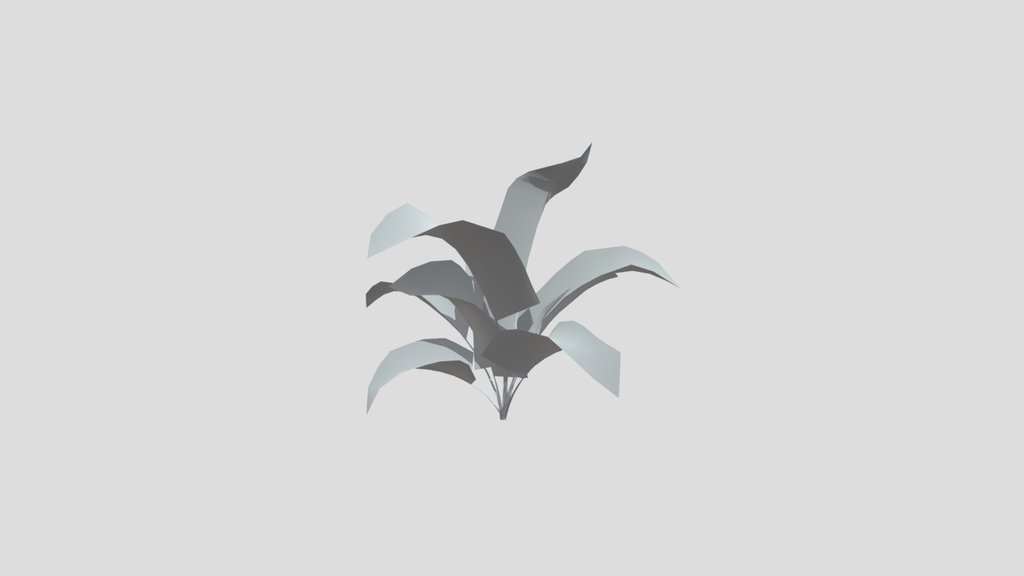 Small Palm Med
