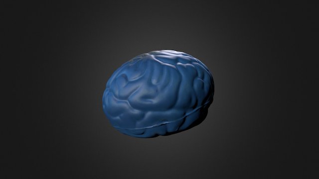 Brain Toy - 1000 Merge 3D Model