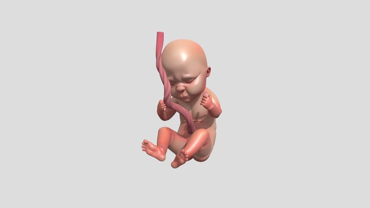 4 MESES 3D Model