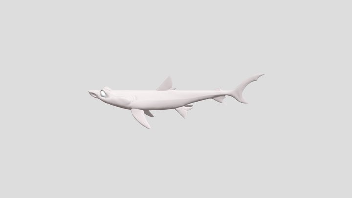 Shark Submission CGCookie Exercise 3D Model