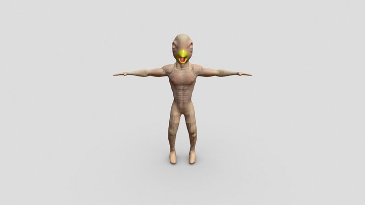 Buff Bird 3D Model