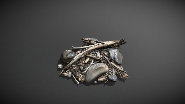 Driftwood and Rock Scatter