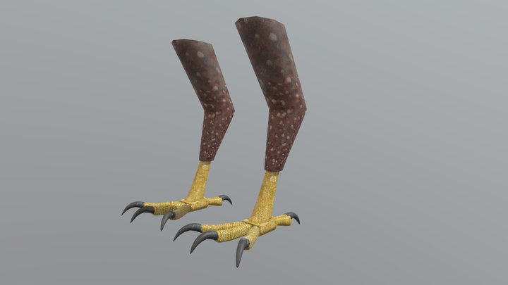 eagle feet 3D Model