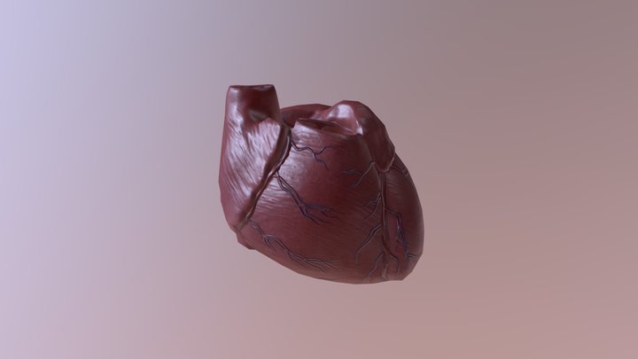 Human Heart 3D Model