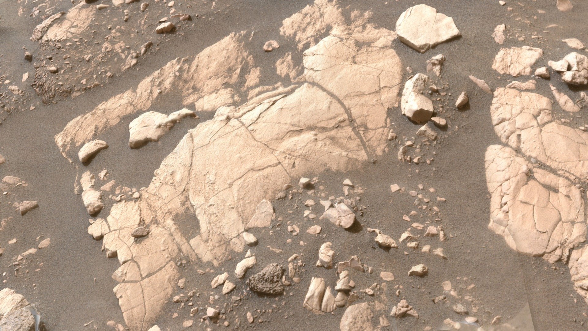 M2020 ZCAM -- Wildcat Ridge, sol 502