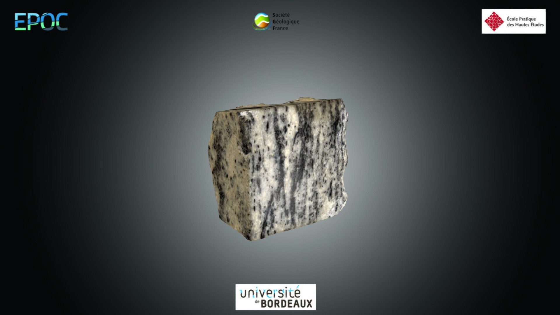 Roche - Gneiss gris