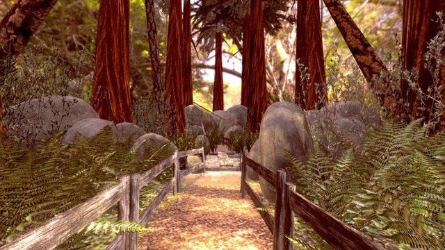 a hike through the Redwood Forest 3D Model