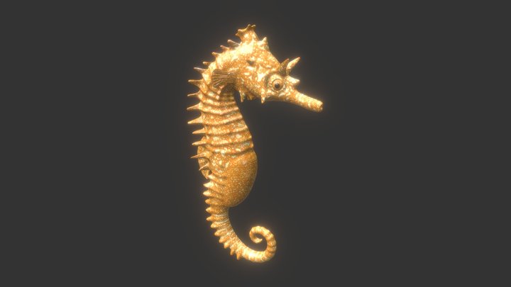 Sea Horse 3D Model