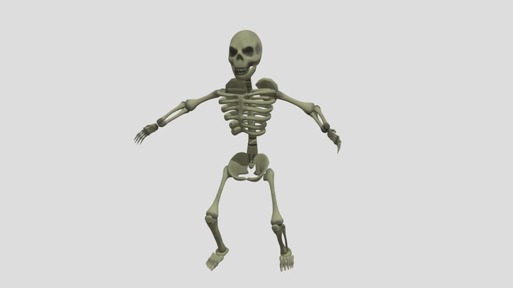 Hand Painted Skeleton - Rigged 3D Model
