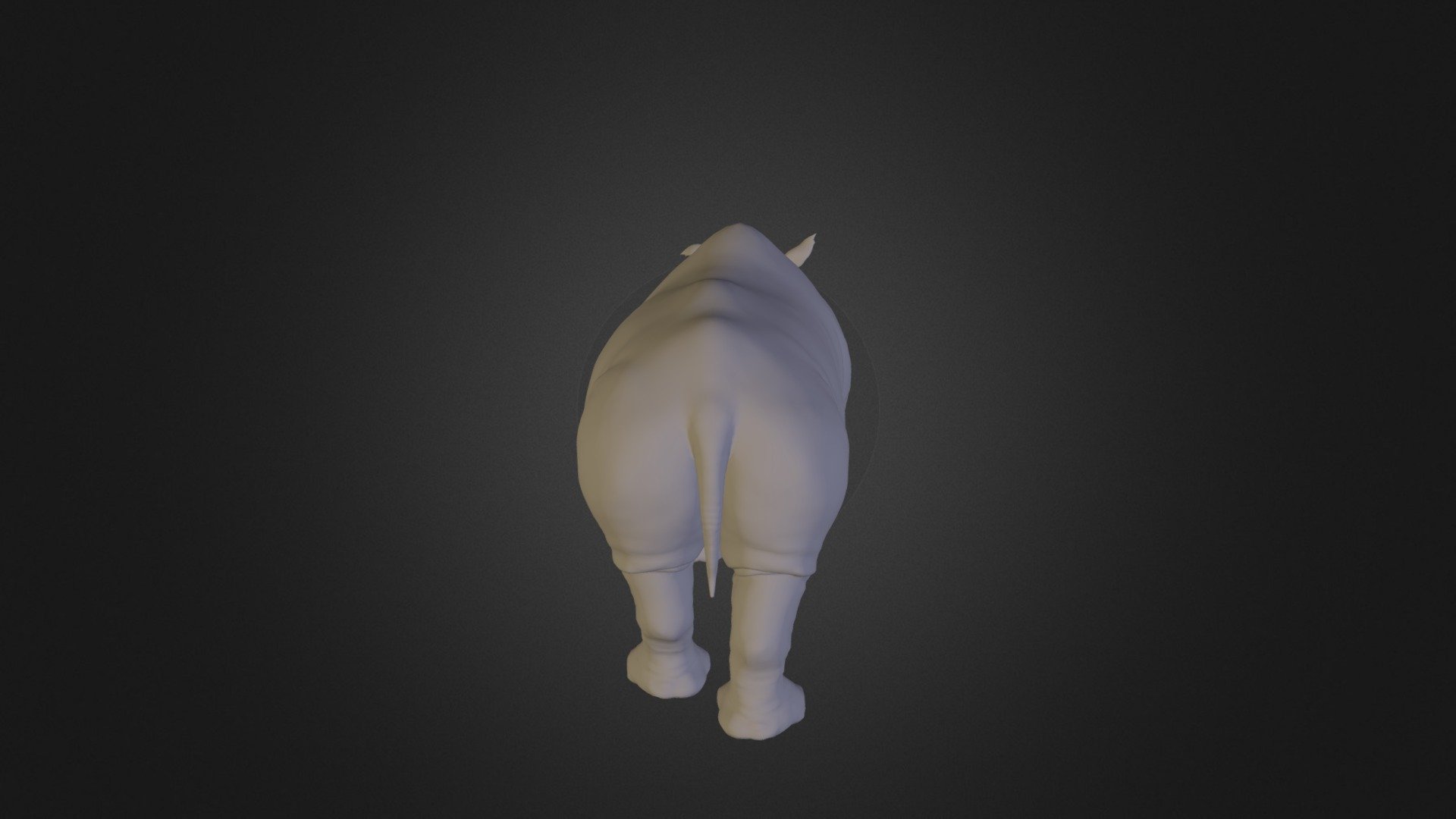 The Rhino