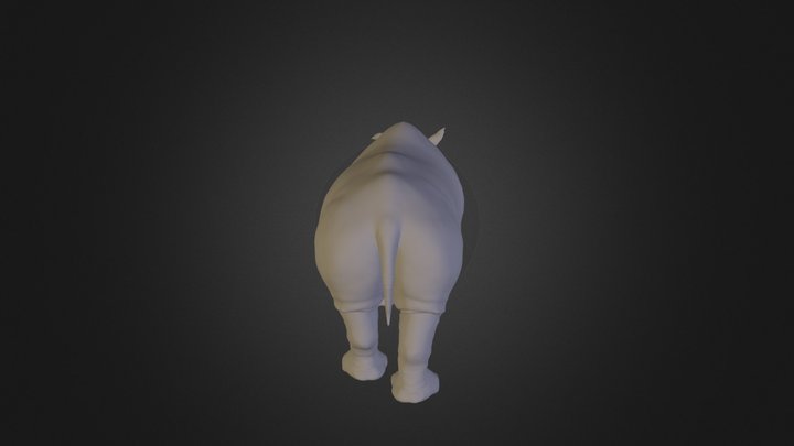 The Rhino 3D Model