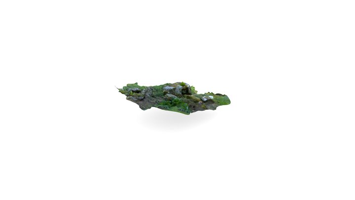 Photogrammétrie: jardin_botanique_genève_ilot 3D Model