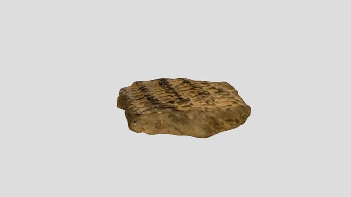 Cord Marked Sherd 3D Model