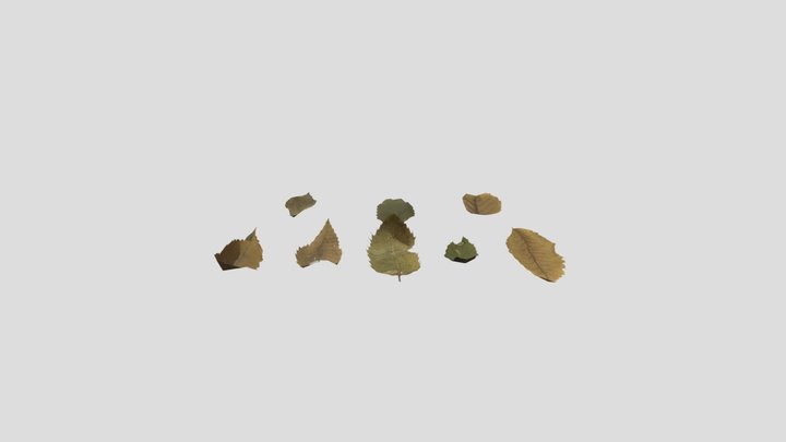 Fallen leaves, 3D Model