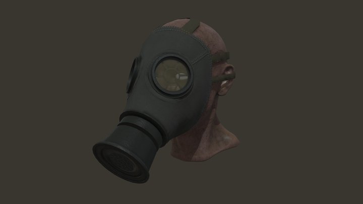german ww1 gas mask 3D Model