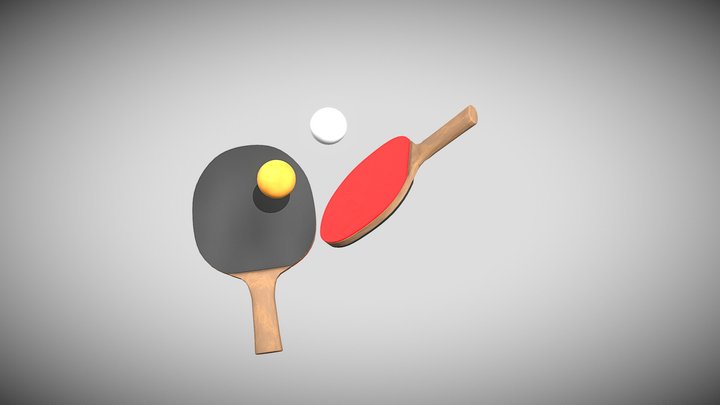 Table Tennis Assets (free) 3D Model
