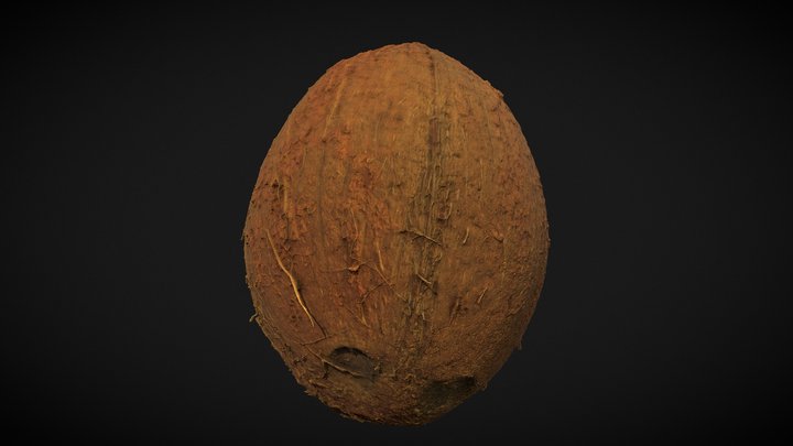 Kokos 3D Model