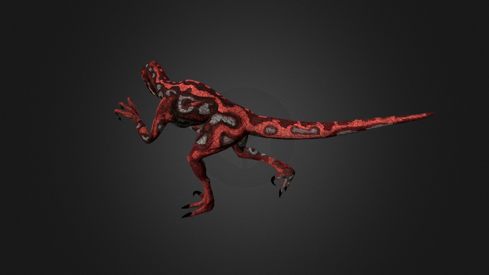 Velociraptor