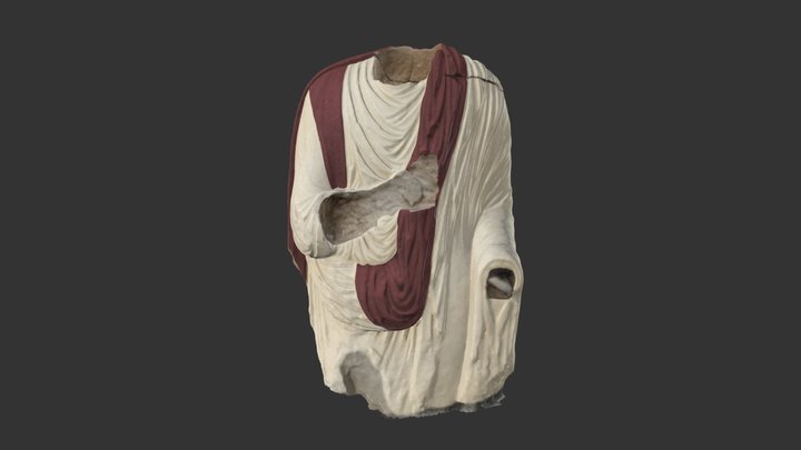 Togado Color 3D Model
