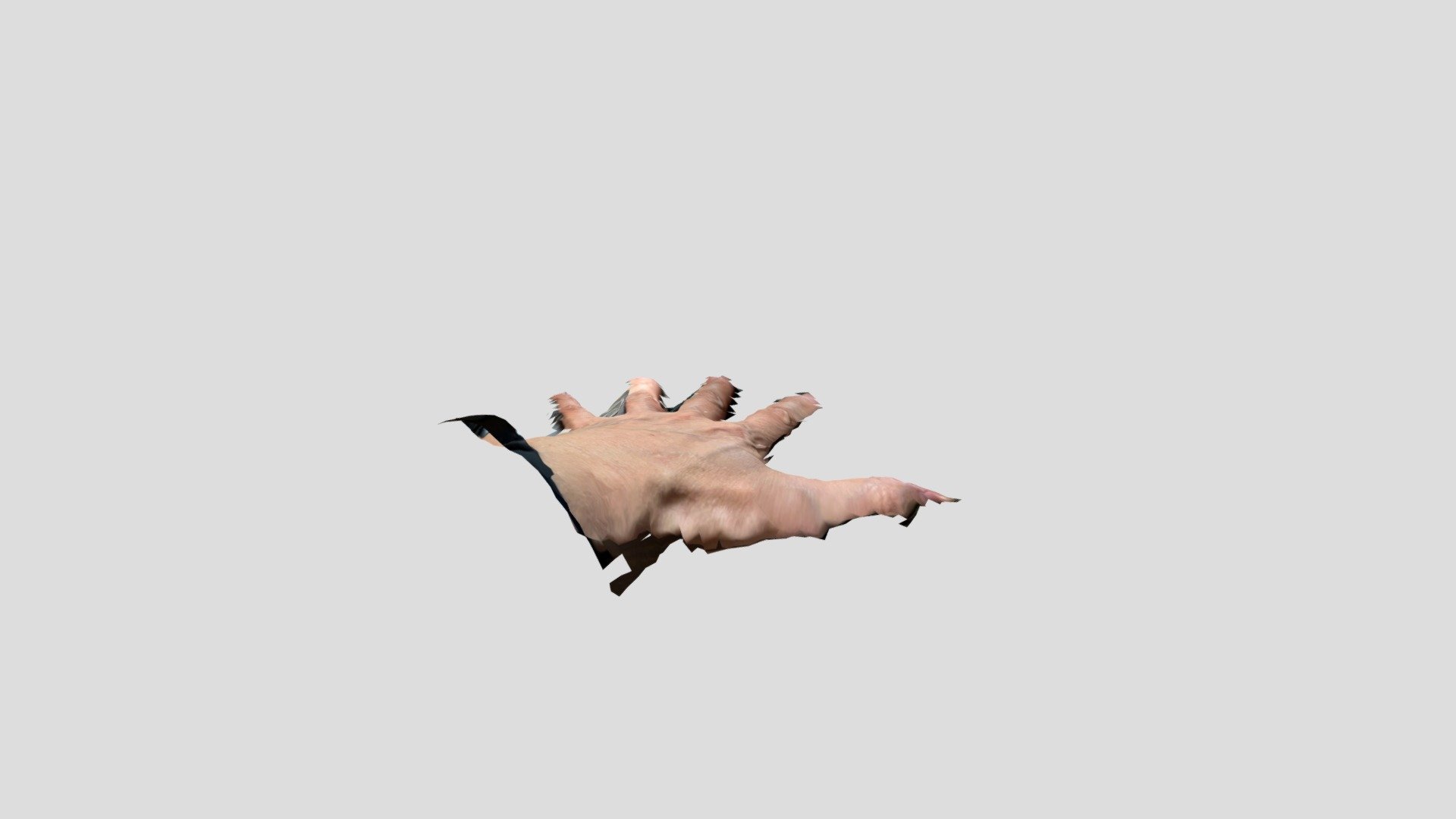 手