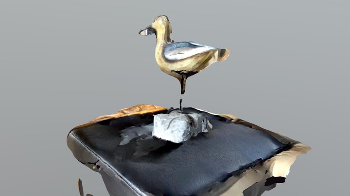 bird 3D Model
