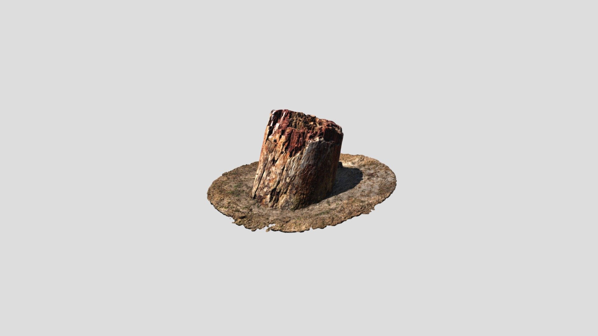 petrified-tree-trunk-number-37-bali-alonia-3d-model-by-aegean