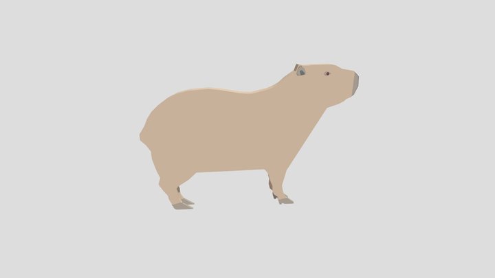 Capybara 3D Model