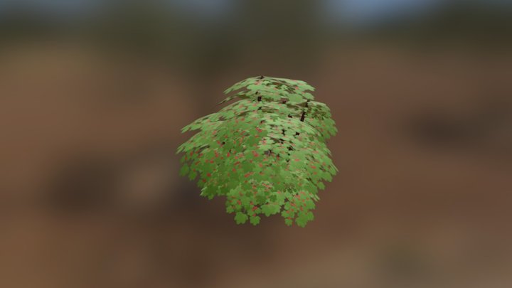 Red Currant Bush 3D Model