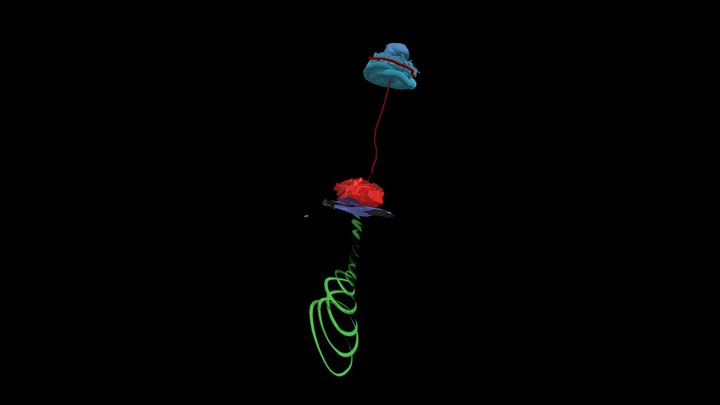 Ufo fight 3D Model