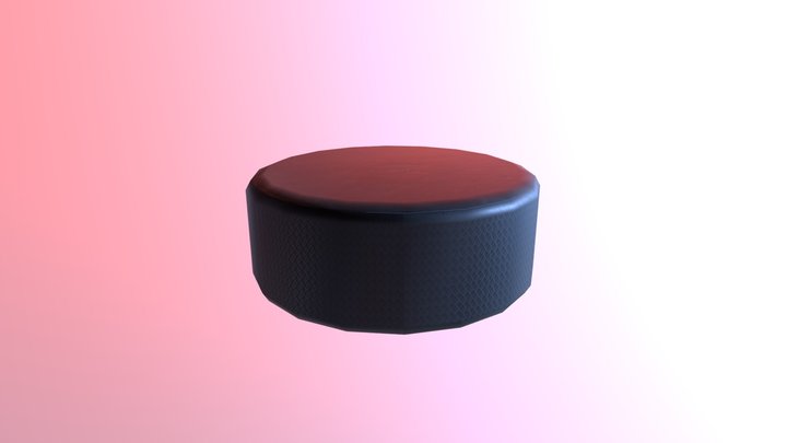 Puck 3D Model