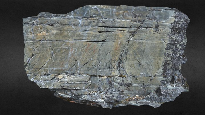 Alta Rock Art: Transfarelv 2 3D Model