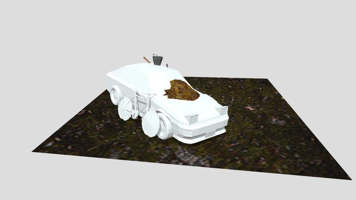 Forest loner - 2 More Detailed Props 3D Model