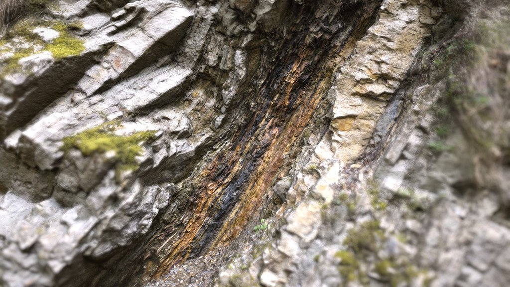 Modello 3D del Livello Bonarelli, affioramento geologico sul Monte Foltrone