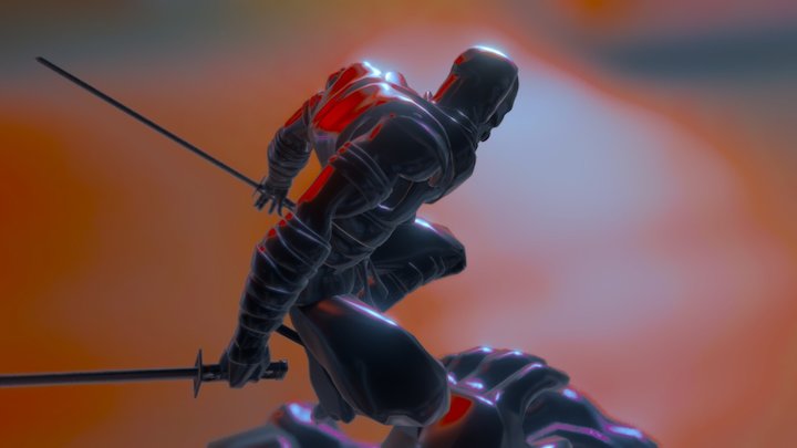 Ninja K 3D Model