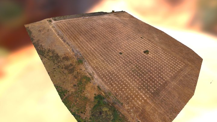 Parcela de Sarracín de Aliste (Zamora) 3D Model