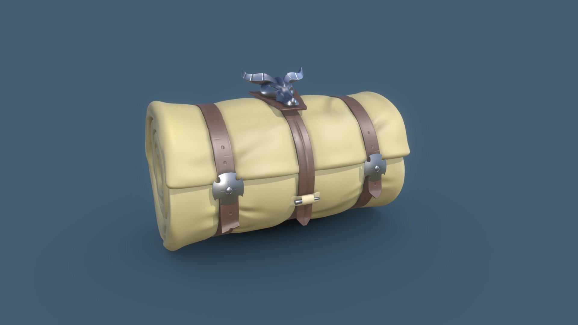 Sleeping Bag