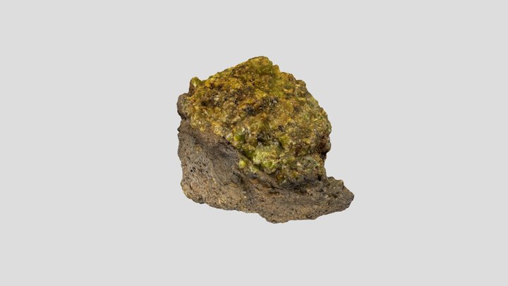 Mantle Xenolith 3D Model