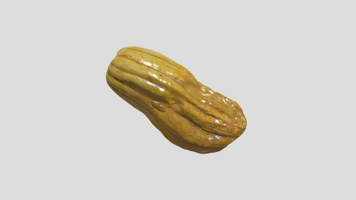 Delicata Squash