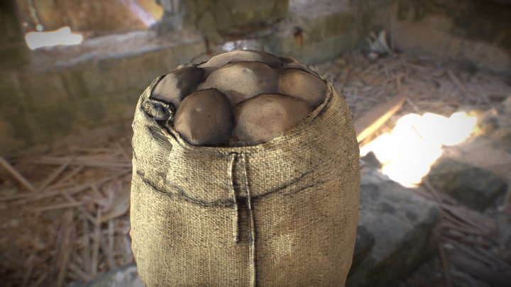 Bag of Potato 3D Model