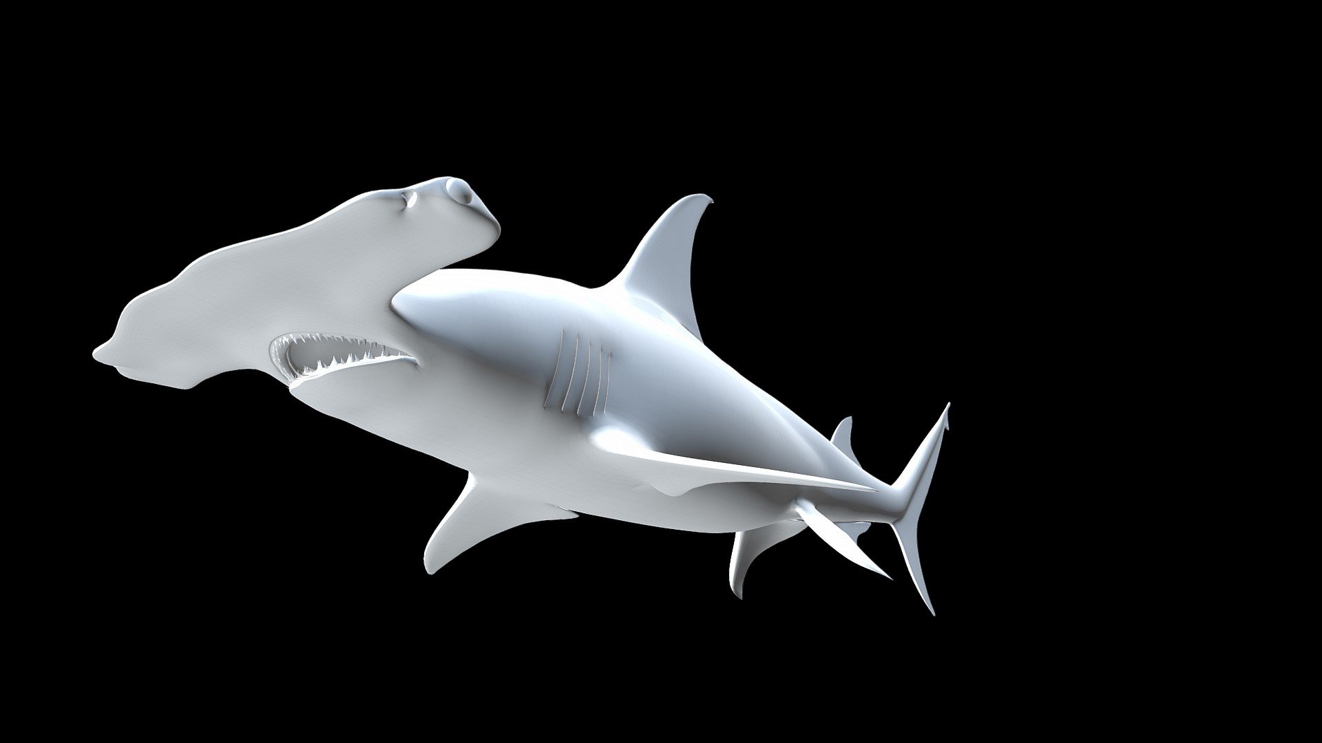 Hammerhead SHark - Blender 3D Models : Blender 3D Models