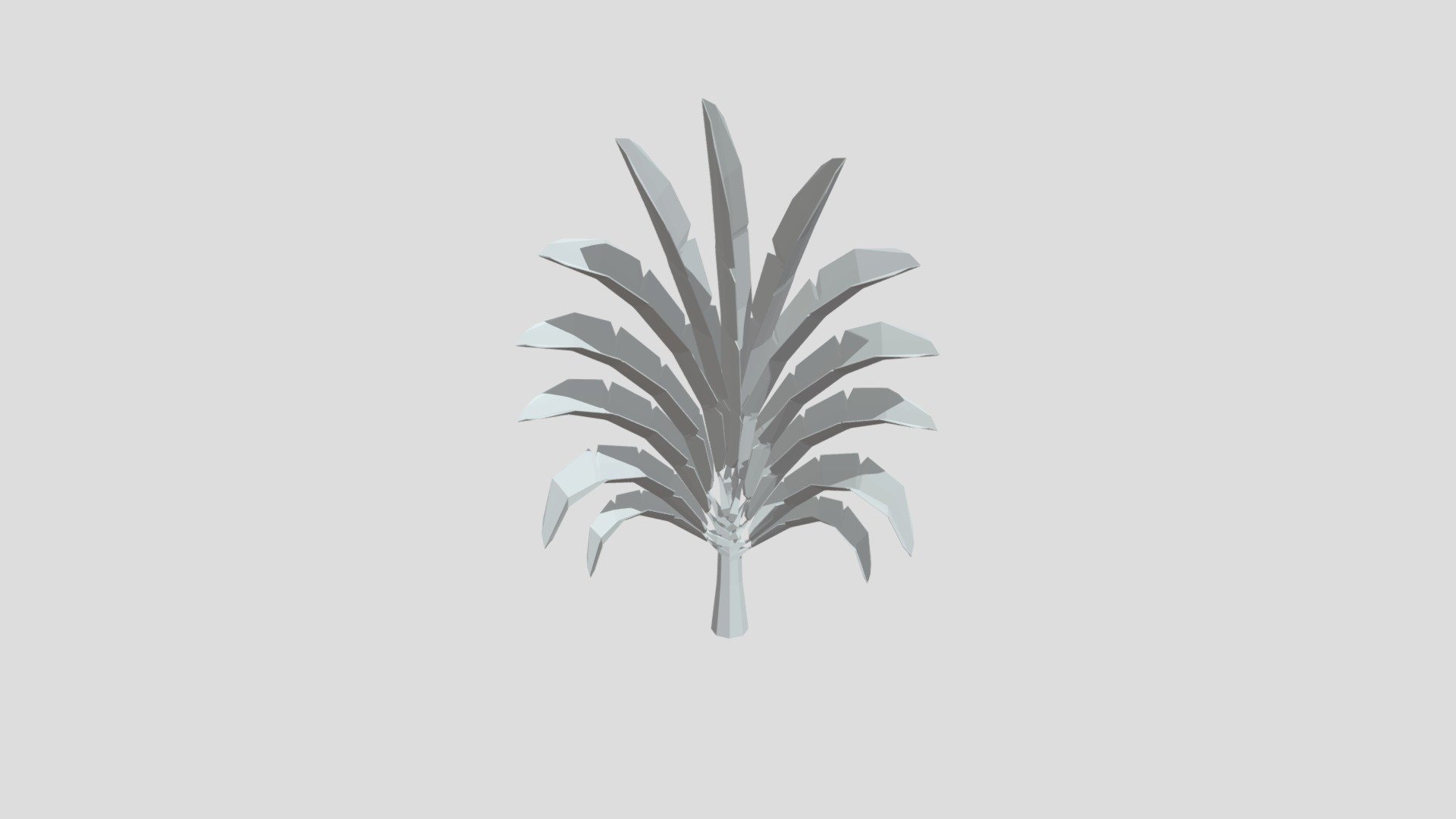 Triangle Palm Tree