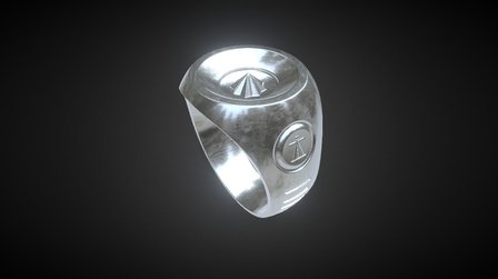 Manhattan School of Mystery - Templar's Ring 3D Model