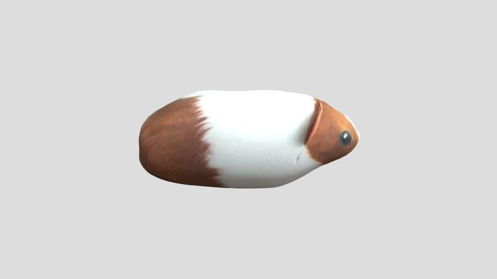 морская свинка Булка от блоптоп 3D Model