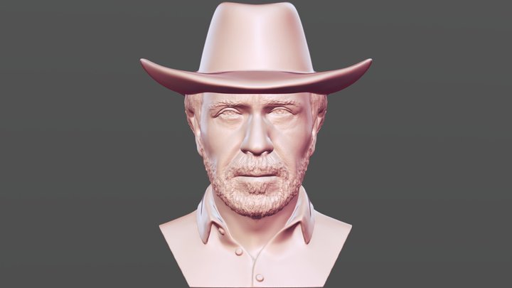 Chuck Norris bust for 3D printing 3D Model
