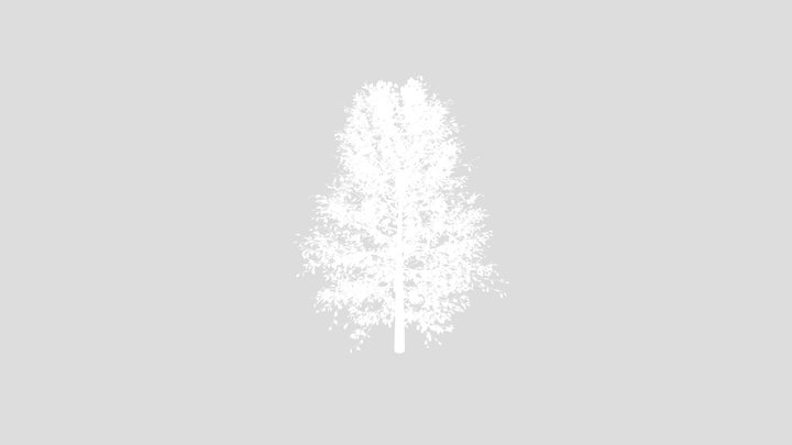 Forest Tree – Free 3D Model STL