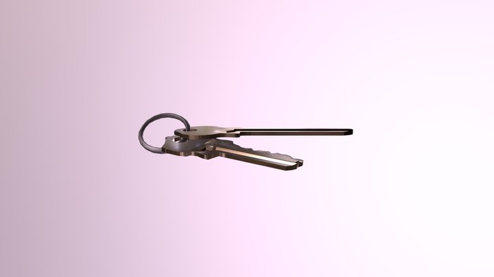 Keys 3D Model