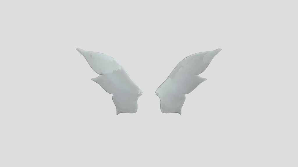 Pair of fairy wings