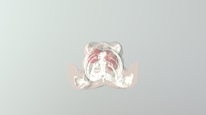 Scene Trocard Transparence 3D Model