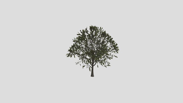Oak Tree Summer Game Ready – Free 3D Model STL